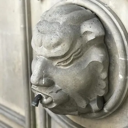 Czarna Kawka * Kraków